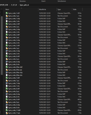 Capture d’écran, le 2021-05-14 à 13.46.48.png