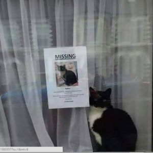 12179955 10208587562791209 1348317726 n.jpg